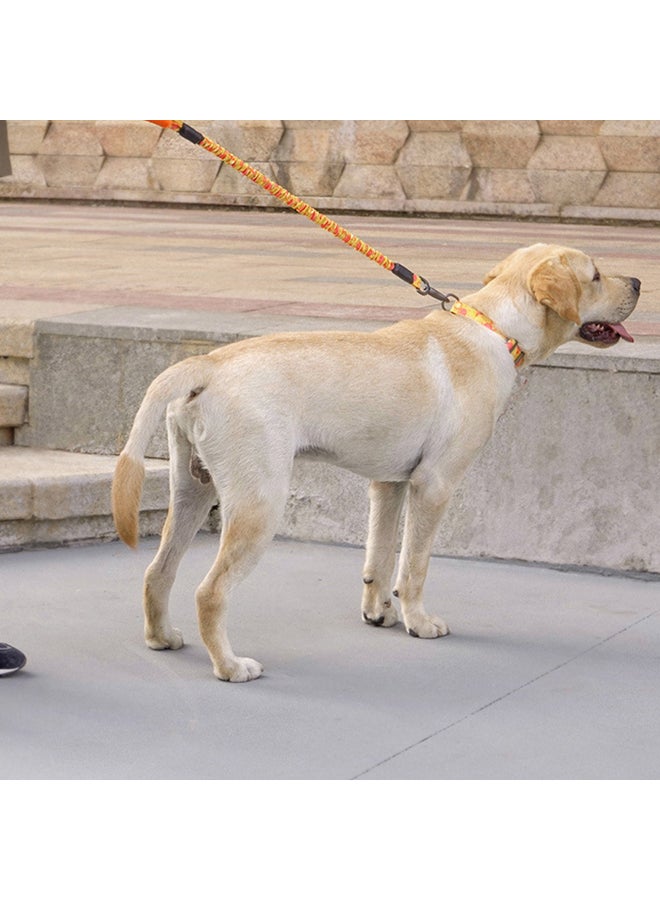 Dog Training Leash with Comfortable Padded Handle Light Blue 30x7x5cm