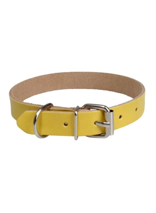 Nylon Dog Leash Yellow S