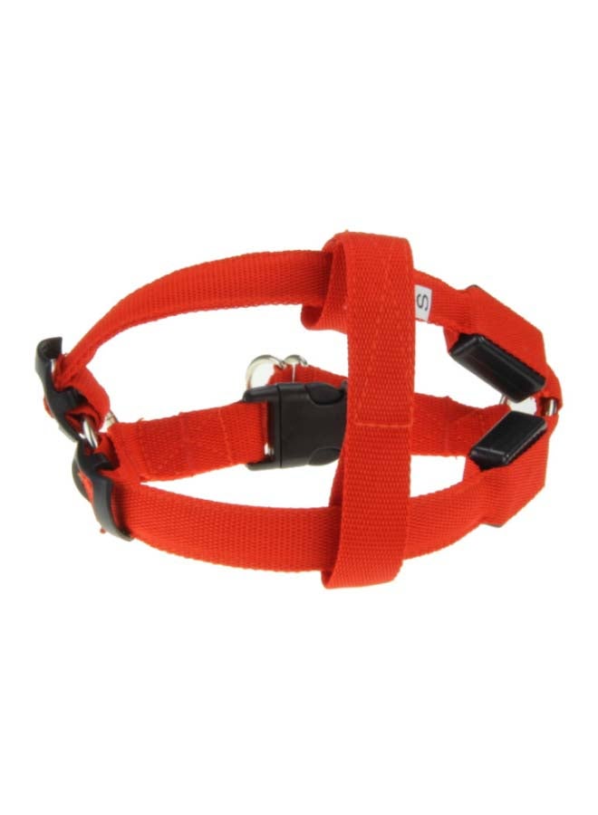 Nylon Leash For Dog Red/Black 38-50cm