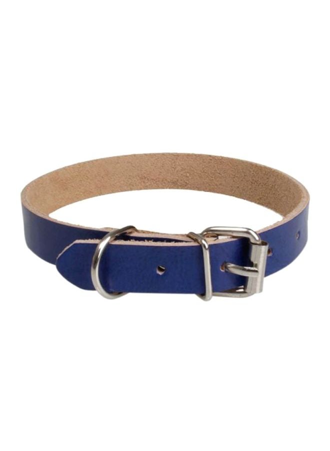 Nylon Dog Leash Blue S