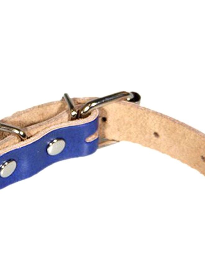 Nylon Dog Leash Blue S