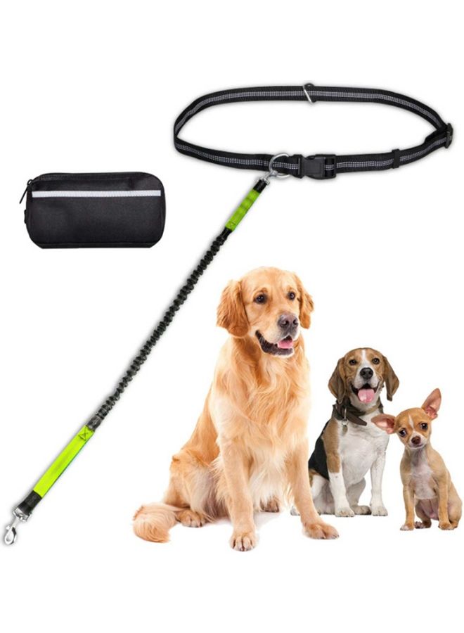 2-Piece Hands-Free Leash With Removable Zipper Pouch Black/Green 25x8x8cm