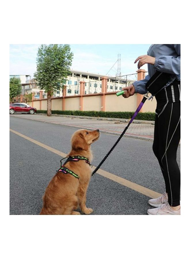 2-Piece Hands-Free Leash With Removable Zipper Pouch Black/Green 25x8x8cm