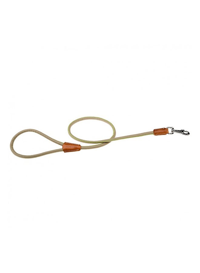 Leather Dog Leash Multicolour