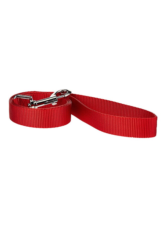 Nylon Dog Training Lead Red