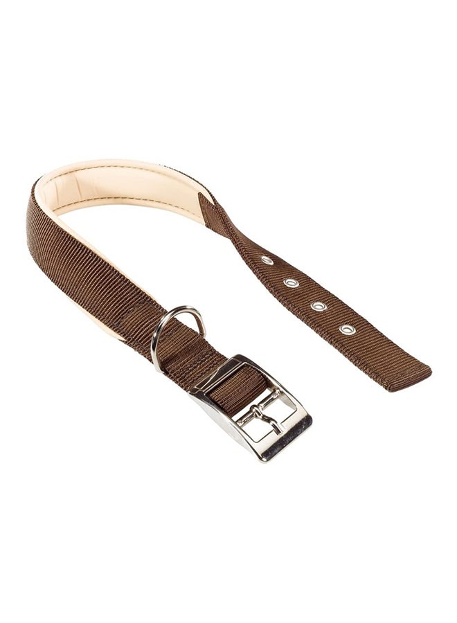 Daytona Pet Collar Brown