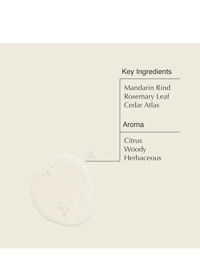 Aesop Resurrection Aromatique Hand Wash - Gentle Cleanser with Orange, Rosemary and Lavender Oils - 16.9 oz