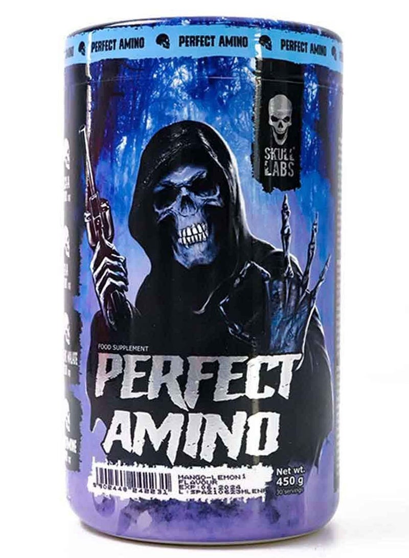 Skull Labs Perfect Amino, Dragon Fruit, 450 GM