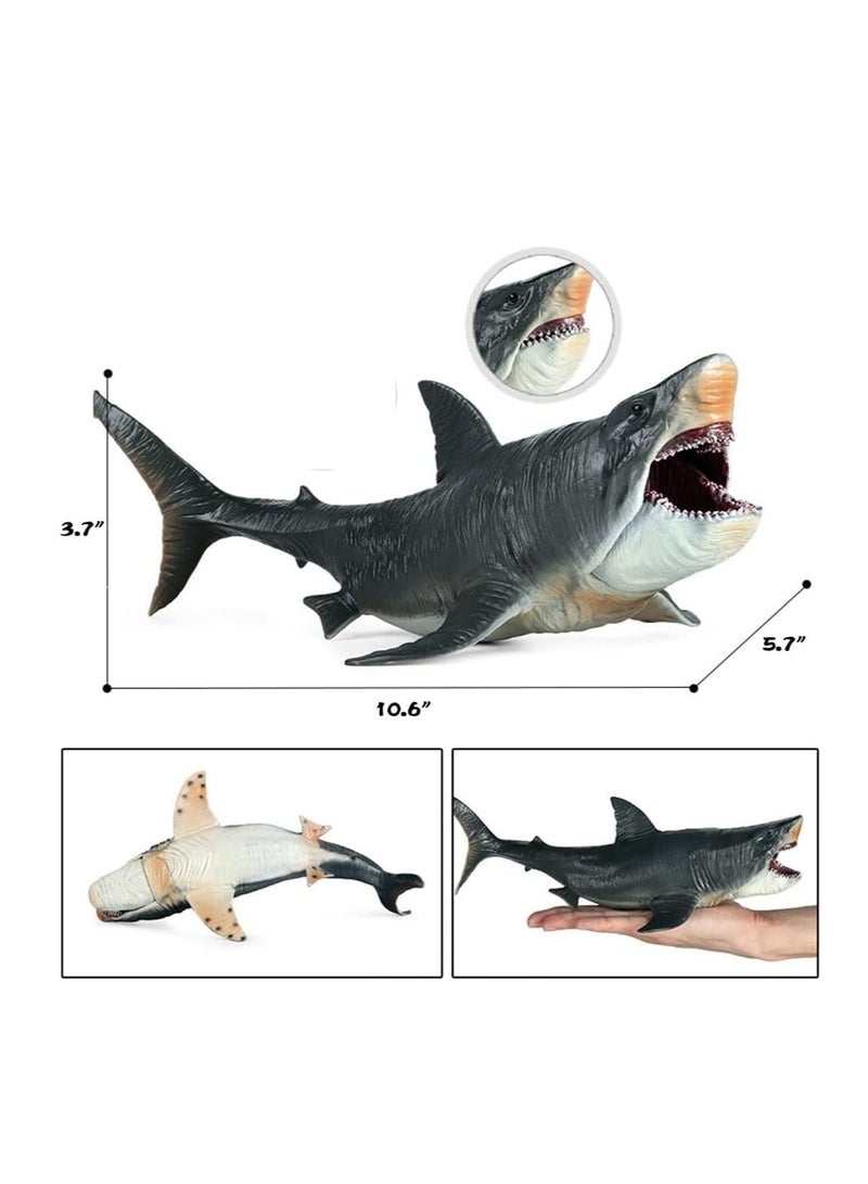 Large Shark Toys Megalodon Plastic Assorted Ocean Animal Shark Figurine Realistic Sea Creature Cognitive Toy Shark Figure for Collection Gift Bath Toy Cake Topper