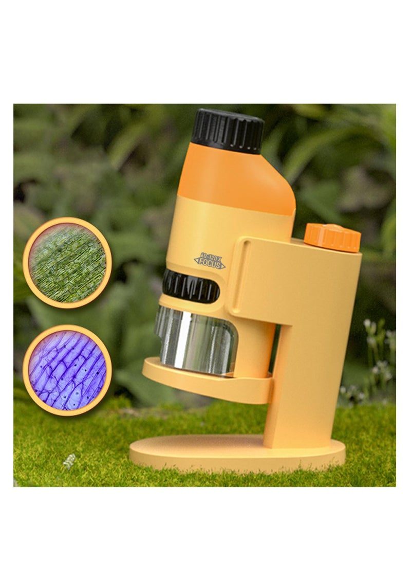 Portable Handheld Microscope for Kids Ages 8-12, 60x-120x Mini Digital Microscope for Students and Adults, Perfect for Home and School Exploration.