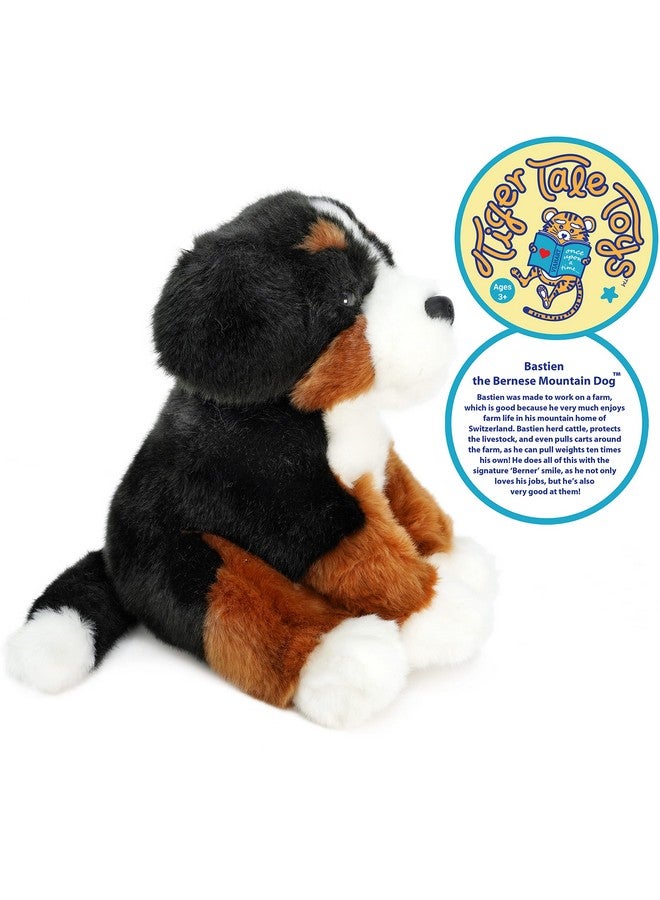 Bastien The Bernese Mountain Dog | 13 Inch Stuffed Animal Plush | By Tigerhart Toys