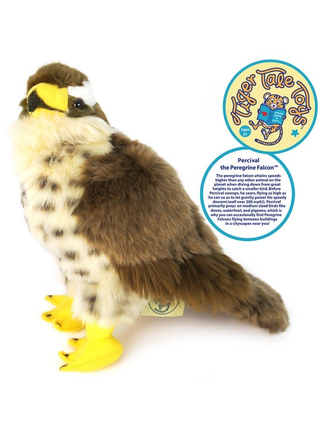 Percival The Peregrine Falcon - 9 Inch Stuffed Animal Plush - By Tigerhart Toys