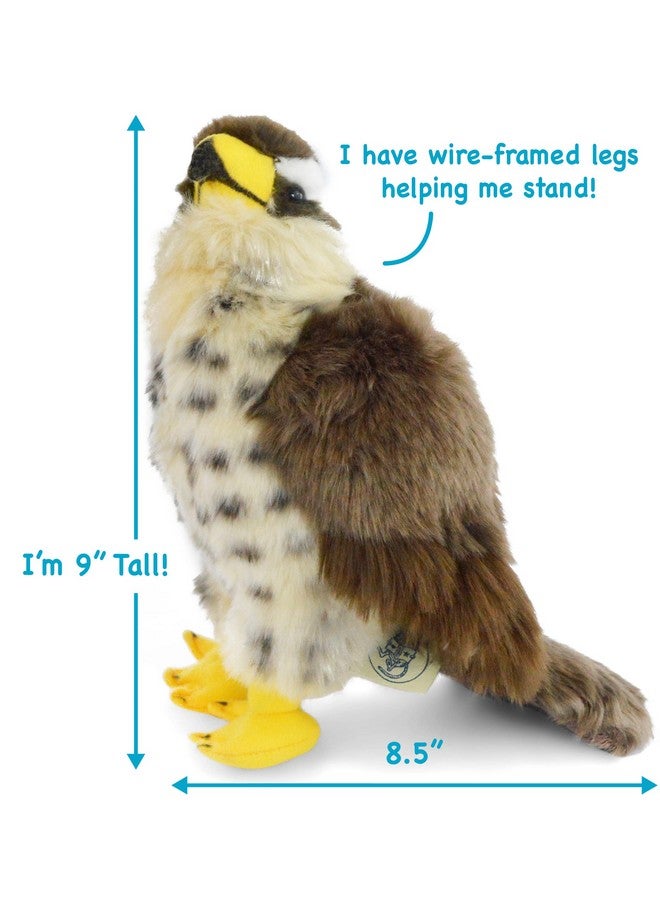 Percival The Peregrine Falcon - 9 Inch Stuffed Animal Plush - By Tigerhart Toys