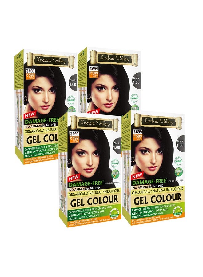 Damage Free Natural Gel Hair Colour For Women | Ammonia & Ppd Free Organic Hair Colour With 100% Grey Coverage, Long Lasting Conditioning Hair Color | Black 1.00 Pack Of 4