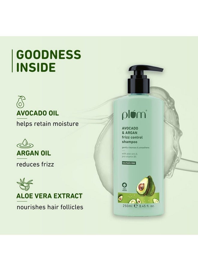Avocado & Argan Frizz Control Shampoo | For Curly, Wavy, Frizzy Hair | Reduces Frizz, Retains Moisture, Conditions Strands | 250 Ml