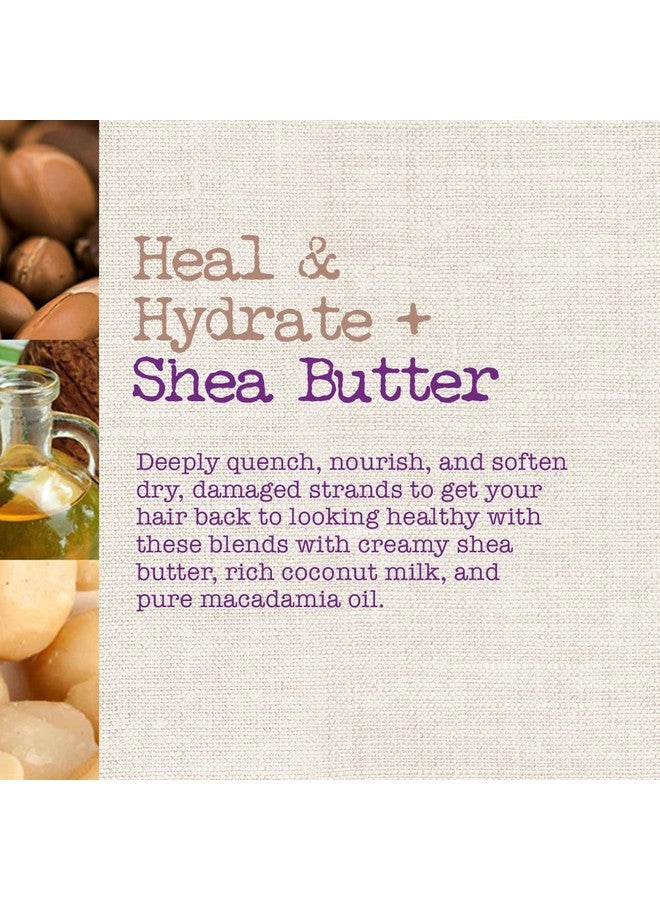 Heal & Hydrate + Shea Butter Shampoo,...