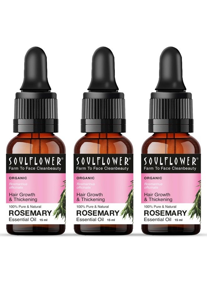 Rosemary Essential Oil For Hair Growth, Hair Fall Control & Nourishment, Skin Care | 100% Pure, Natural, Undiluted Clinically Tested & Ecocert Organic Certified | 15Ml Each (Pack Of 3)