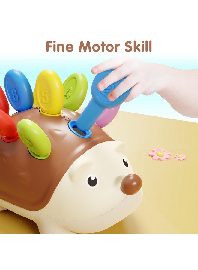 Fine Motor Toys For Toddlers 1-3, Hedgehog Montessorri Learning Educational Counting & Sorter Toy, Development Baby Sensory Gifts For 6 9 10 12 18 Month, 1 2 3 Year Olds Boy Girl Kids