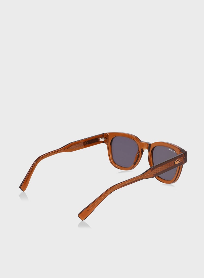 Oval Sunglasses L6023S