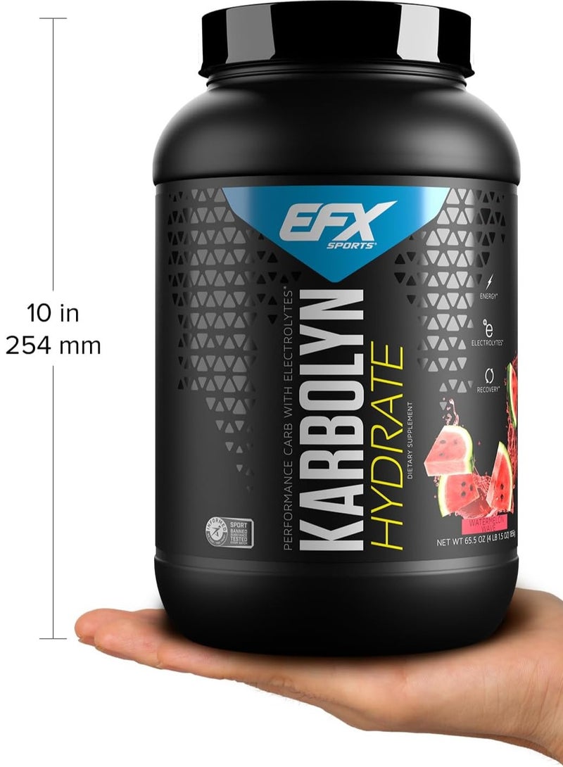 EFX Sports Karbolyn Hydrate 4Lbs Watermelon Wave Flavor