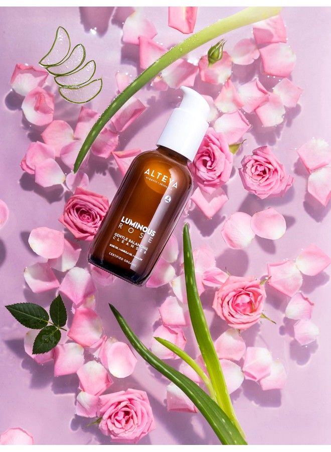 Gentle Brightening Cleanser Natrue Certified Organic Skin Care 6.8 Fl Oz/200 Ml Rose & Mullein Awardwinning Face Wash