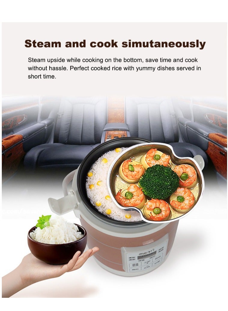 12V 24V Mini Car Rice Cooker 1.6L car trucks electric soup porridge cooking machine food steamer warmer fast heating lunch box(Gold)