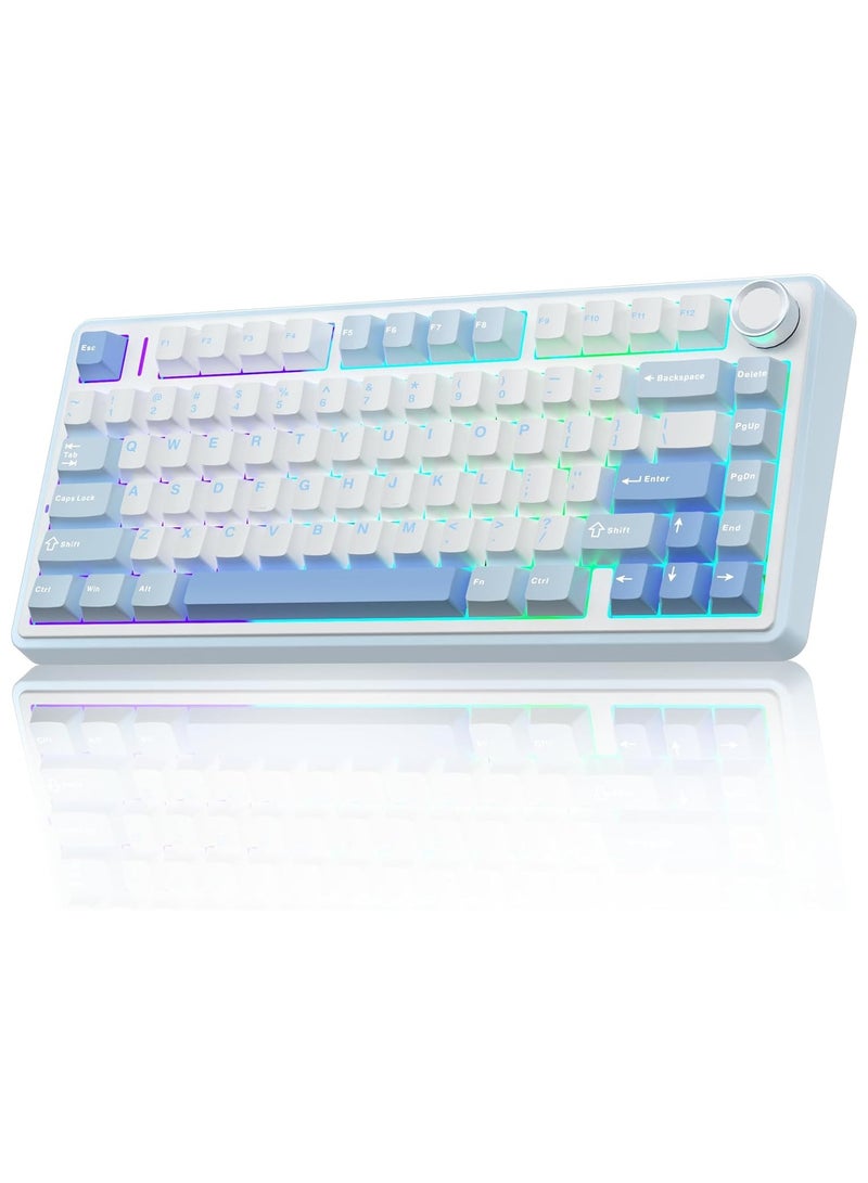 F75 75% Wireless Mechanical Keyboard,Gasket Hot Swappable Custom Keyboard,Pre-lubed Graywood V3 Switches RGB Backlit Gaming Keyboard,2.4GHz/Type-C/BT5.0 Mechanical Keyboard