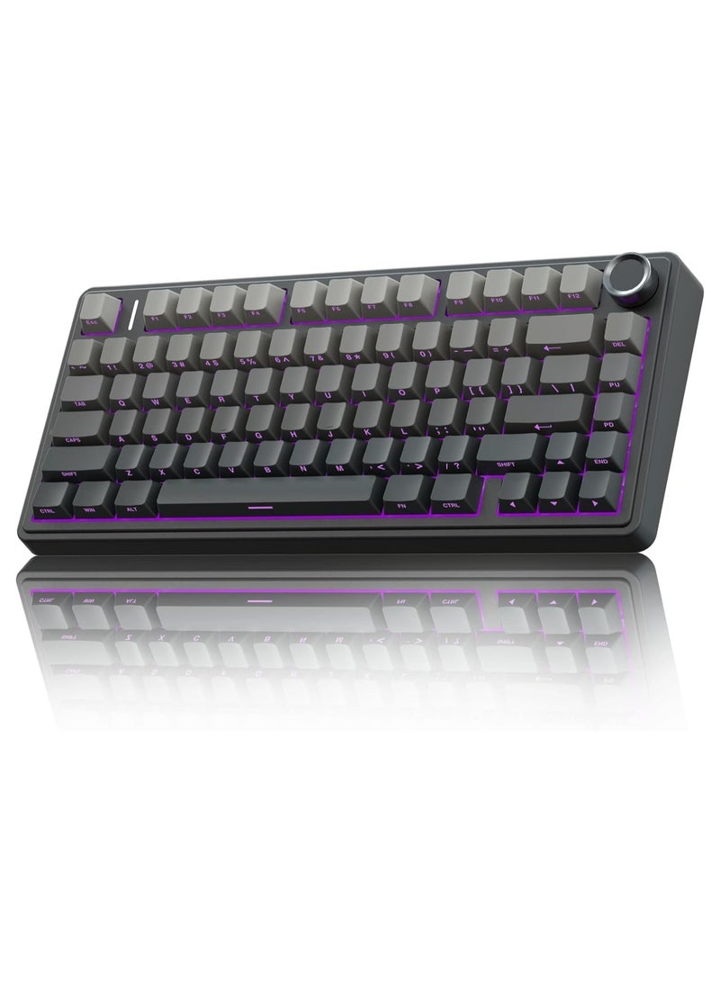 F75 Pro Wireless Mechanical Keyboard,75% Gasket Hot Swappable Custom Keyboard,RGB Backlit,Pre-lubed Reaper Switches,Side Printed PBT Keycaps,2.4GHz/USB-C/BT5.0 Mechanical Gaming Keyboard