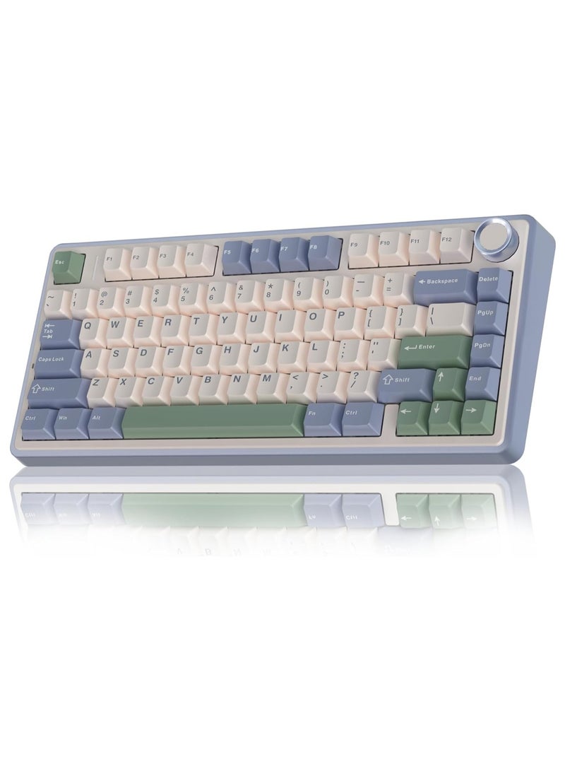 F75 75% Wireless Mechanical Keyboard,Gasket Hot Swappable Custom Keyboard,Pre-lubed Graywood V3 Switches RGB Backlit Gaming Keyboard,2.4GHz/Type-C/BT5.0 Mechanical Keyboard