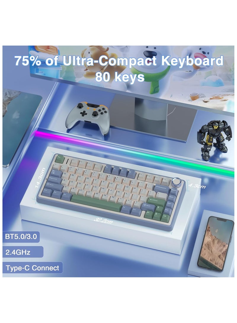 F75 75% Wireless Mechanical Keyboard,Gasket Hot Swappable Custom Keyboard,Pre-lubed Graywood V3 Switches RGB Backlit Gaming Keyboard,2.4GHz/Type-C/BT5.0 Mechanical Keyboard