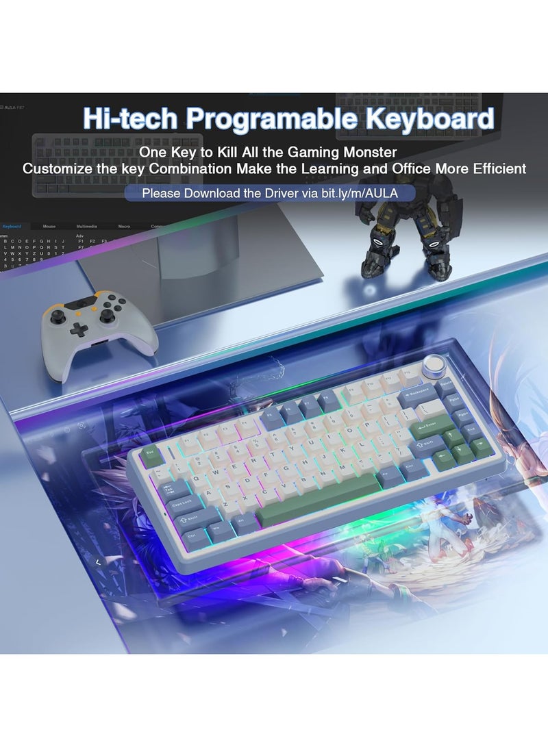 F75 75% Wireless Mechanical Keyboard,Gasket Hot Swappable Custom Keyboard,Pre-lubed Graywood V3 Switches RGB Backlit Gaming Keyboard,2.4GHz/Type-C/BT5.0 Mechanical Keyboard