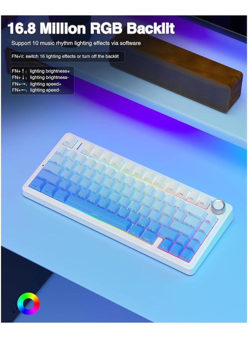F75 Pro Wireless Mechanical Keyboard,75% Gasket Hot Swappable Custom Keyboard,RGB Backlit,Pre-lubed Reaper Switches,Side Printed PBT Keycaps,2.4GHz/USB-C/BT5.0 Mechanical Gaming Keyboard