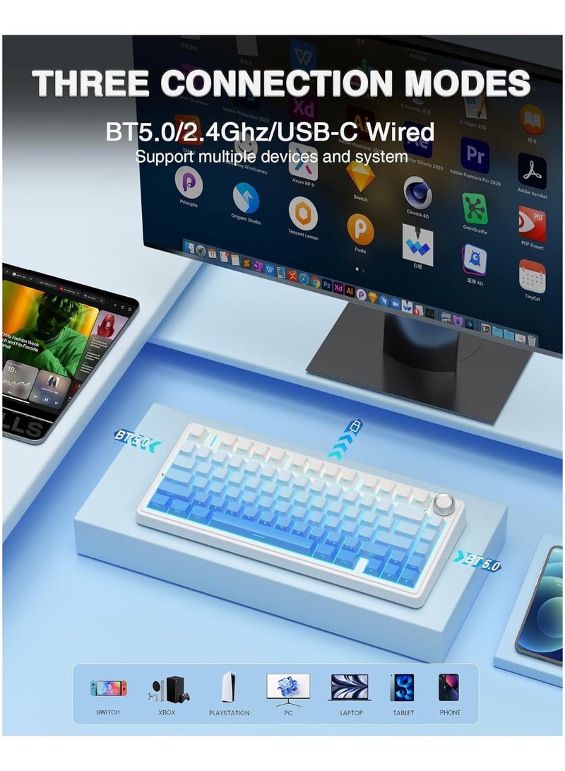 F75 Pro Wireless Mechanical Keyboard,75% Gasket Hot Swappable Custom Keyboard,RGB Backlit,Pre-lubed Reaper Switches,Side Printed PBT Keycaps,2.4GHz/USB-C/BT5.0 Mechanical Gaming Keyboard