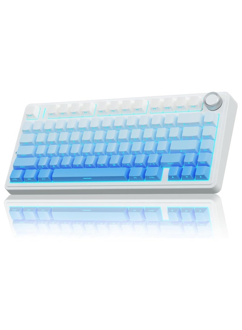 F75 Pro Wireless Mechanical Keyboard,75% Gasket Hot Swappable Custom Keyboard,RGB Backlit,Pre-lubed Reaper Switches,Side Printed PBT Keycaps,2.4GHz/USB-C/BT5.0 Mechanical Gaming Keyboard