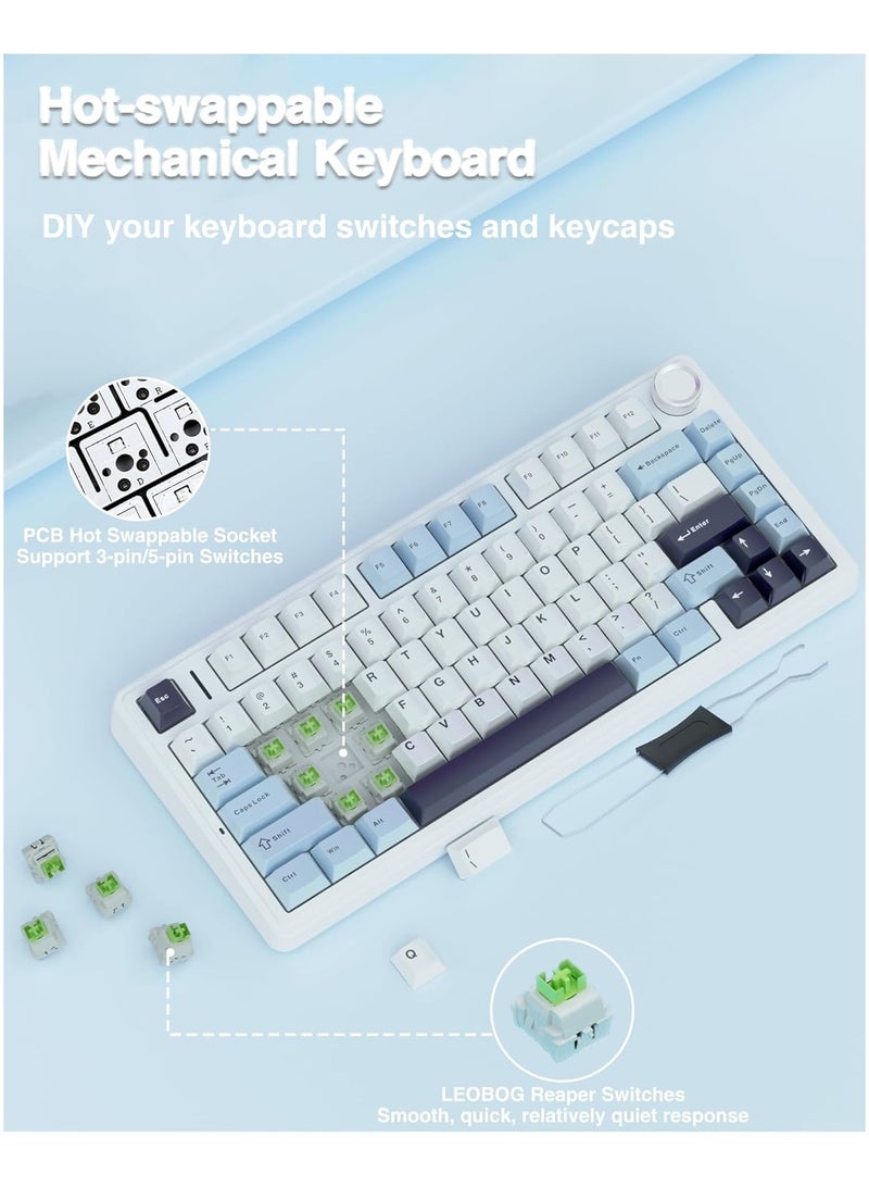 F75 75% Wireless Mechanical Keyboard,Gasket Hot Swappable Custom Keyboard,Pre-lubed Reaper Switches RGB Backlit Gaming Keyboard,2.4GHz/Type-C/BT5.0 Mechanical Keyboard