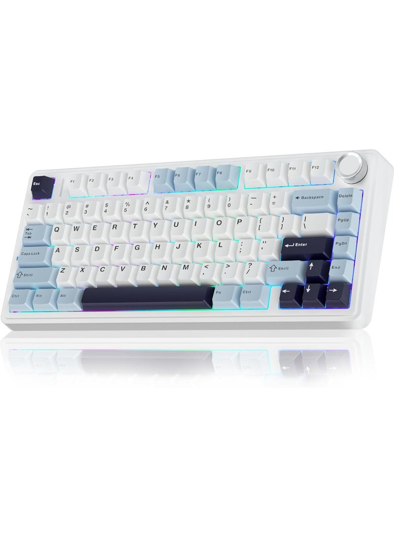 F75 75% Wireless Mechanical Keyboard,Gasket Hot Swappable Custom Keyboard,Pre-lubed Reaper Switches RGB Backlit Gaming Keyboard,2.4GHz/Type-C/BT5.0 Mechanical Keyboard