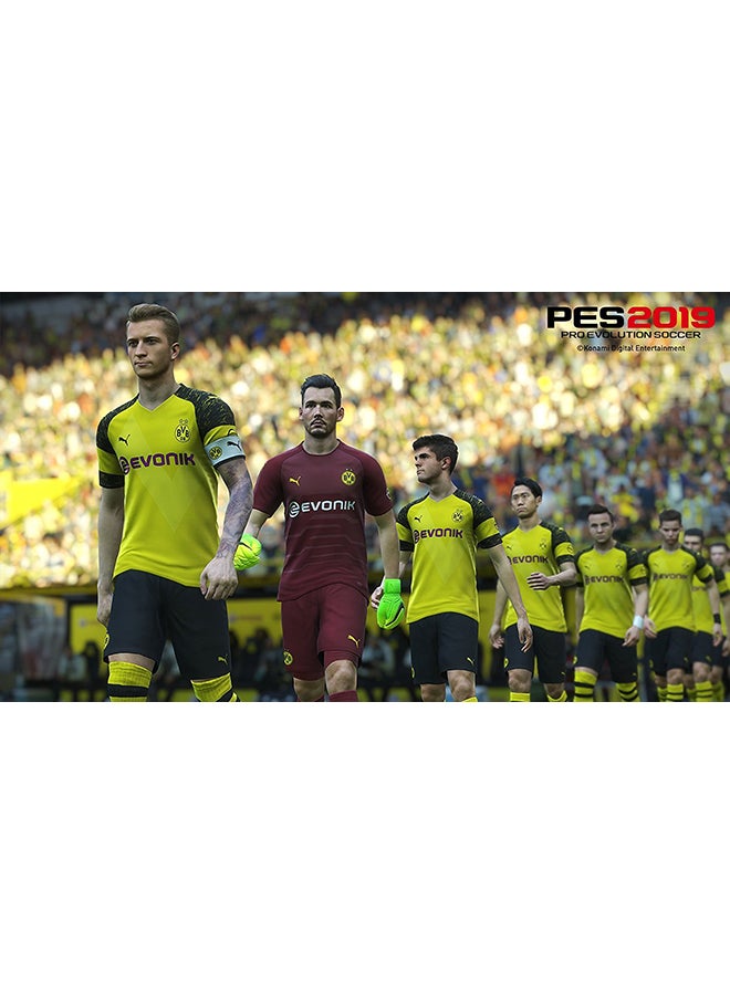 Pro Evolution Soccer PES 2019 - PlayStation 4 (PS4)