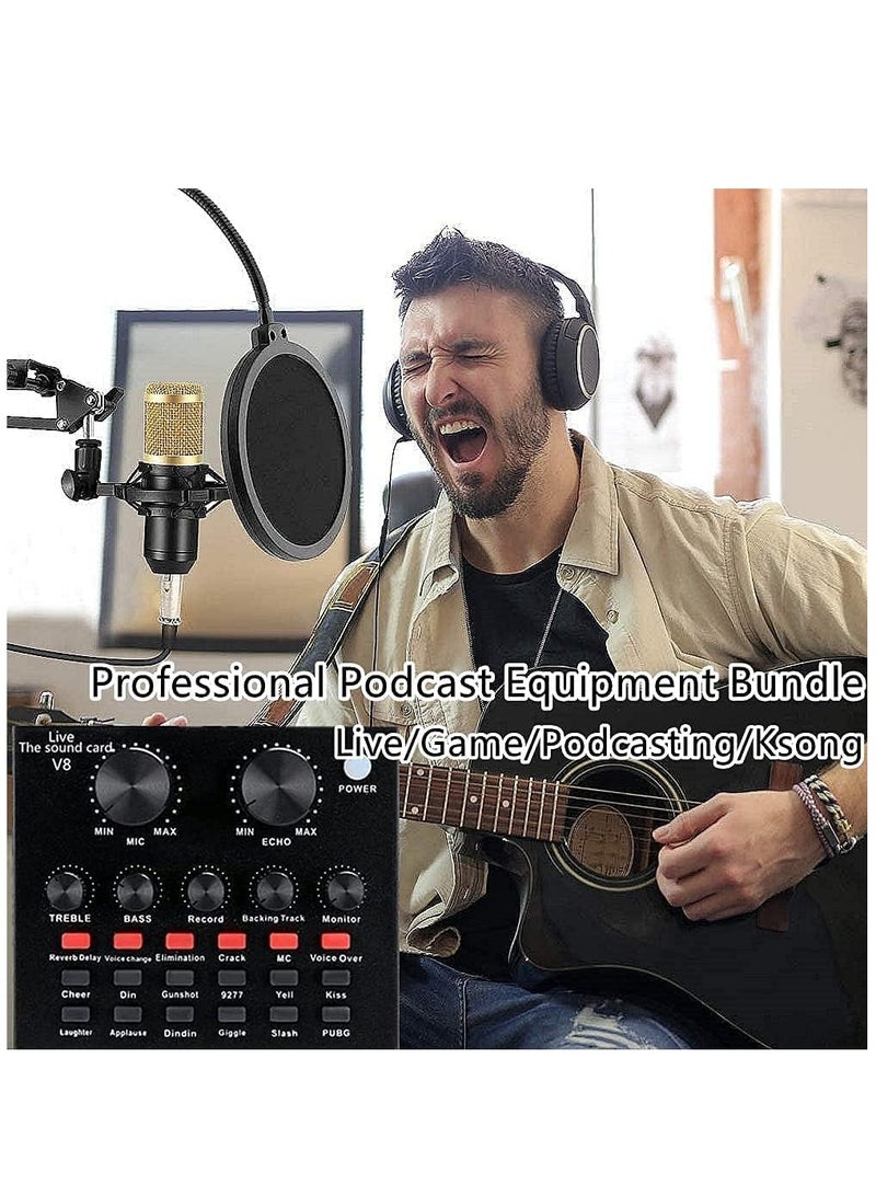 Professional Condenser Microphone With Live Sound Card And Studio Recording Broadcasting Set Black/Gold