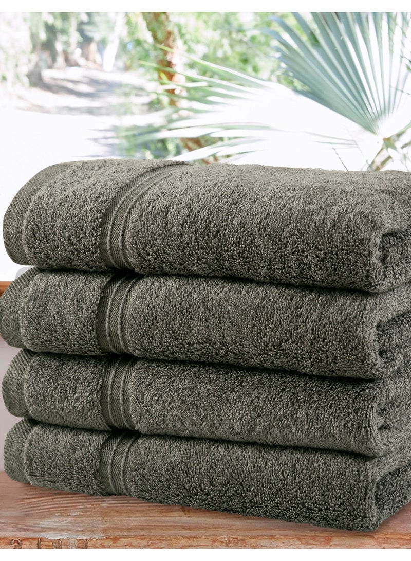 Bliss Casa 4-Piece 100% Combed Cotton Hand Towels - 550 GSM Quick Dry Highly Absorbent Hand Towel Set - Thick Soft Hotel Quality Towels for Hand And Spa 16x28 Inch