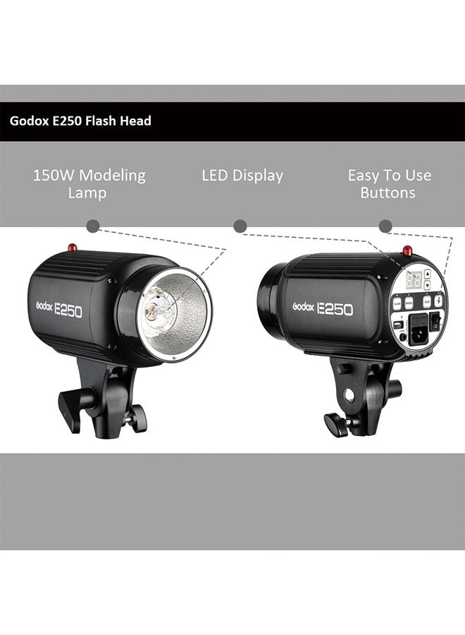 GODOX E250 Mini Photography Studio Strobe Flash Lighting Lamp Head, 250Ws Power, 5600K Color Temperature, 110V