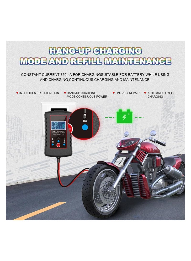 Upgraded 2A Smart Fully Automatic 6V/12V Trickle Charger & Maintainer, Battery Desulfator for Car, Motorcycle, Lawn Mower, Boat, and Marine Lead Acid Batteries.