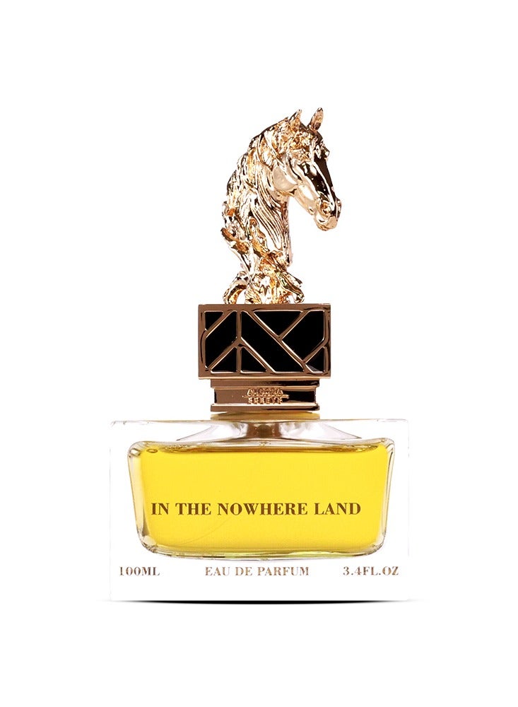 Aurora Scents In The Nowhere Land Eau De Parfum For Unisex 100ml