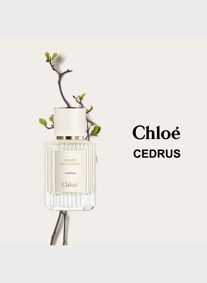 Atelier des Fleurs Cedrus EDP 7*7*11cmml