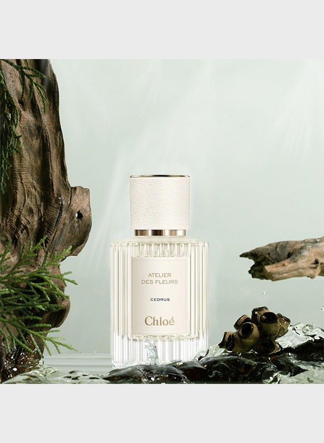 Atelier des Fleurs Cedrus EDP 7*7*11cmml
