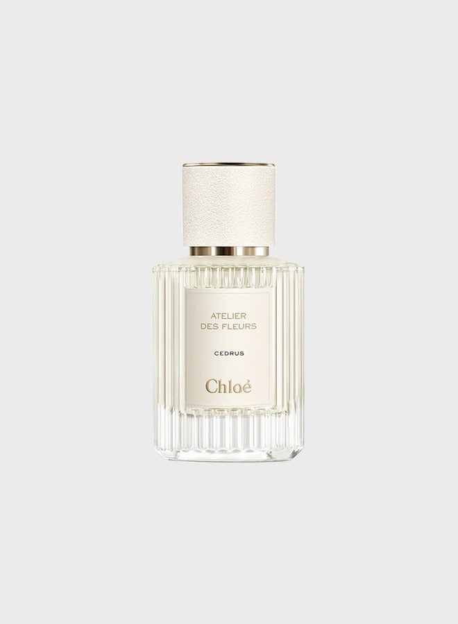 Atelier des Fleurs Cedrus EDP 7*7*11cmml