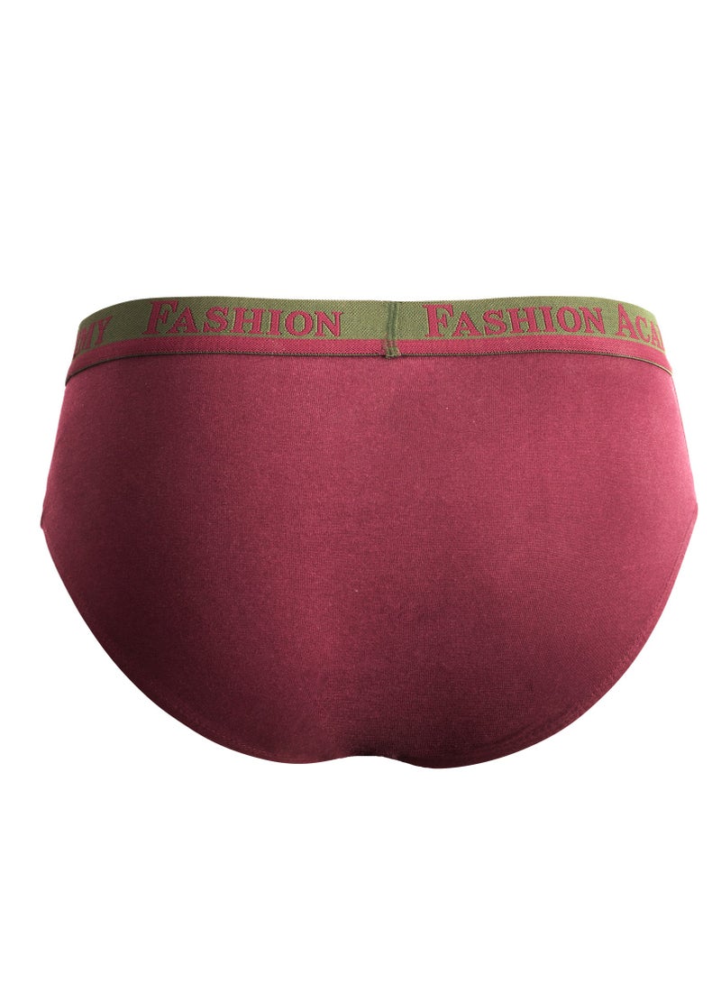Fashion Academy Mens Outer Elastic Brief Assorted Colors Pack of 6