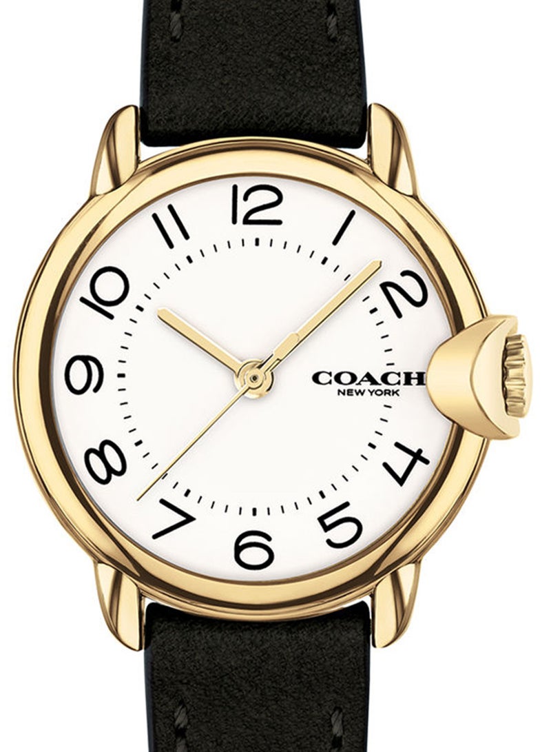 Women's Coach Women's Arden White Dial Watch - 14503612