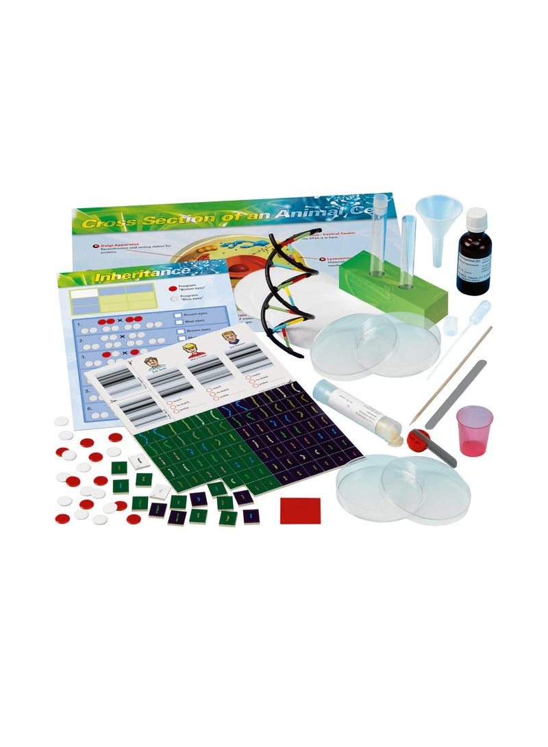 Thames & Kosmos Genetics & DNA :Build a Model, Extract DNA & Solve a Crime Scene Mystery and to  Explore Genetics, DNA, and Heredity, Hands-On Science Learning