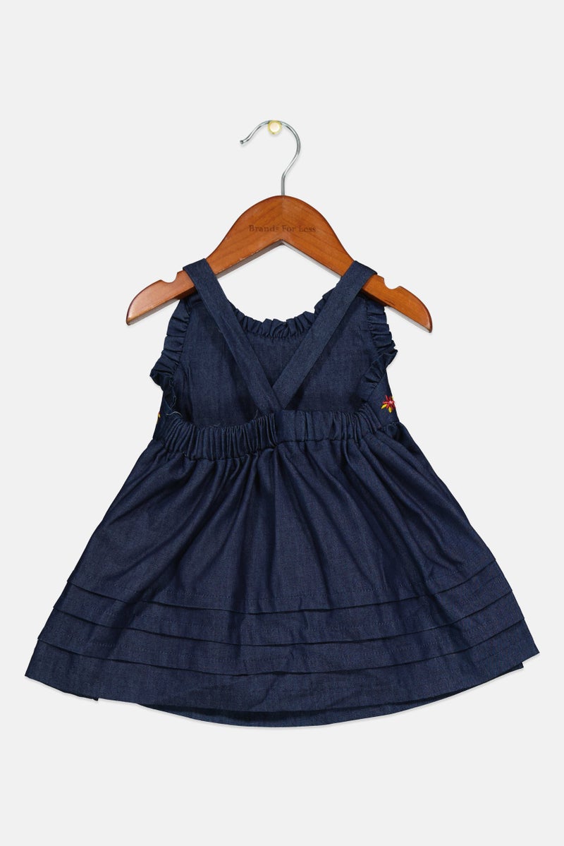 Toddlers Girl Embroidered Dress, Blue Combo