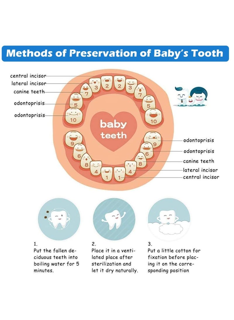 Tooth Keepsake Box,Tooth Holder for Kids' Lost Teeth, Baby Teeth Keepsake Container, Tooth Saver for Toothfairy Visits, Teeth Storage Holder for Precious Memories